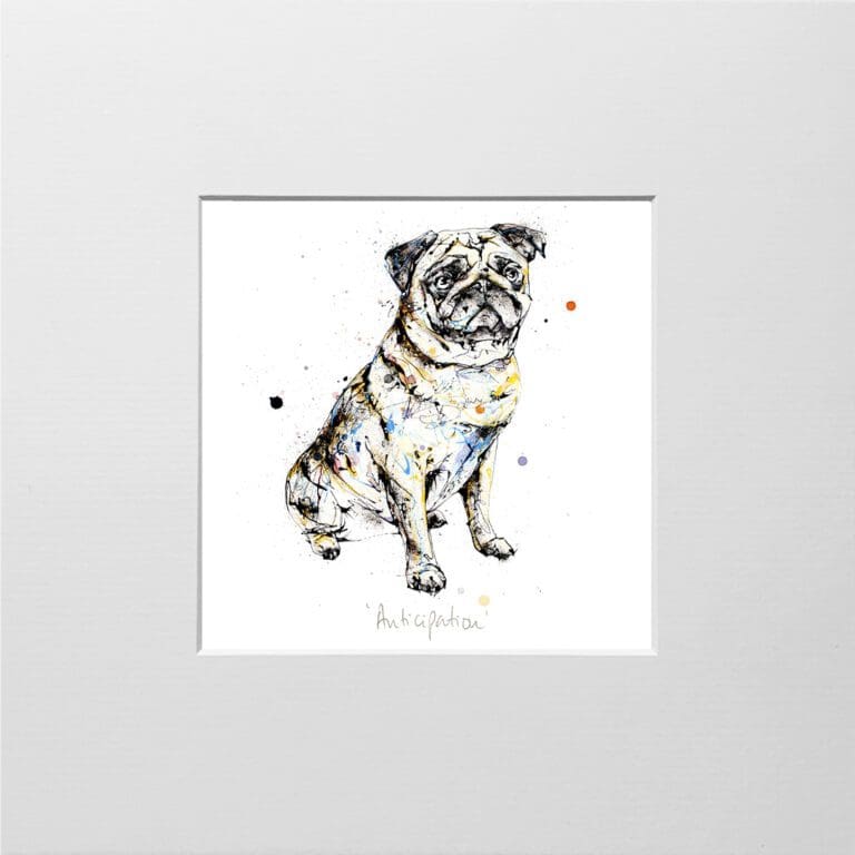 A digital mockup showing how a miniature print of Anticipation by Kathryn Callaghan will look presented in a 23cm mount. Anticipation features a sitting pug.