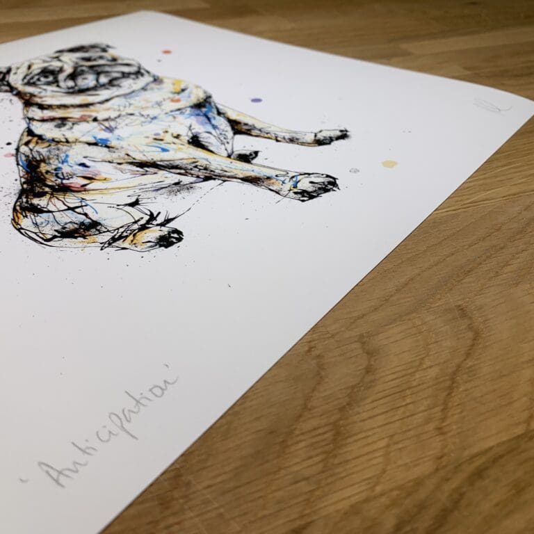 Photograph of Anticipation by Kathryn Callaghan, a print of a sitting pug, which shows the print's title handwritten in the bottom left corner and the artist's signature in the bottom right, with space between to add a custom personalisation.