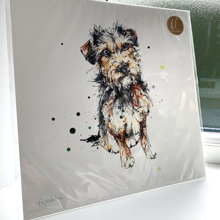 A print of Expectation by Kathryn Callaghan, which features a sitting border terrier. The 30cm print is presented flat in a clear cello bag with a golden KC sticker in the top right.