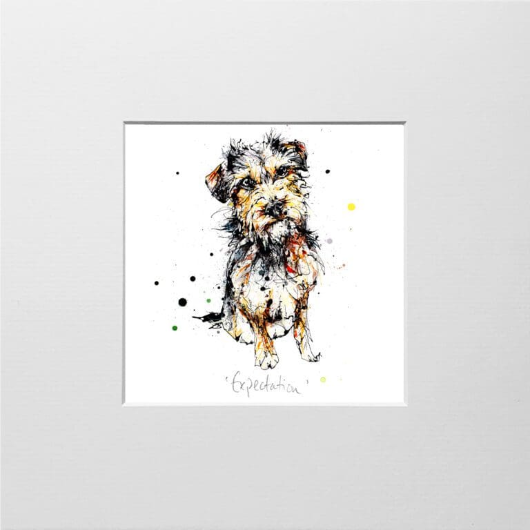 A digital mockup showing how a miniature print of Expectation by Kathryn Callaghan will look presented in a 23cm mount. Expectation features a sitting border terrier.