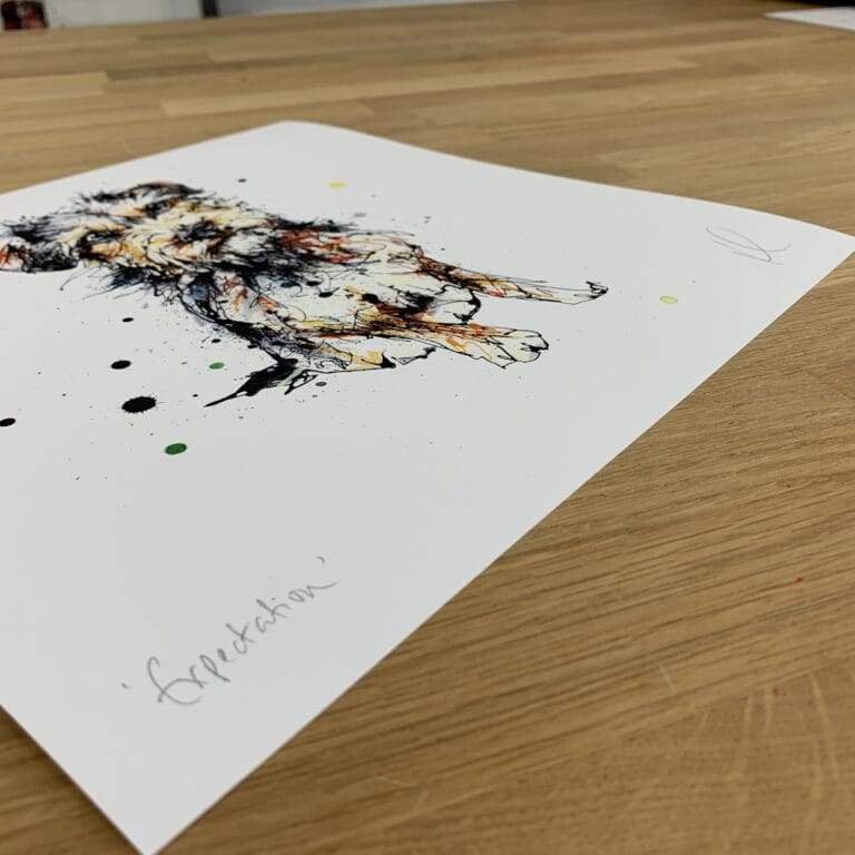 Photograph of Expectation by Kathryn Callaghan, a print of a sitting border terrier, which shows the print's title handwritten in the bottom left corner and the artist's signature in the bottom right, with space between to add a custom personalisation.