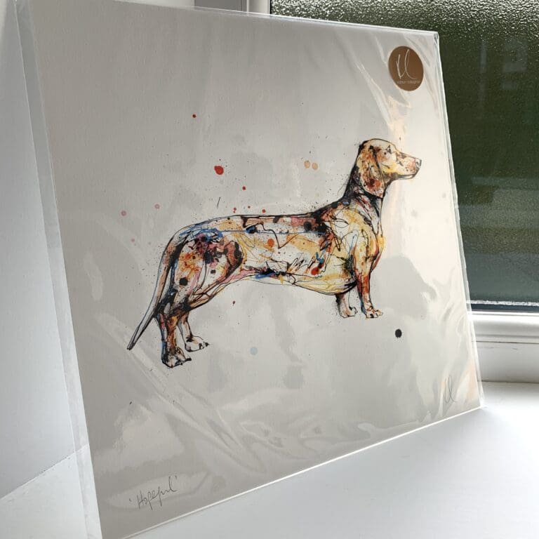 A print of a dachshund facing right, named Hopeful by Kathryn Callaghan. The 30cm print is presented flat in a clear cello bag with a golden KC sticker in the top right.