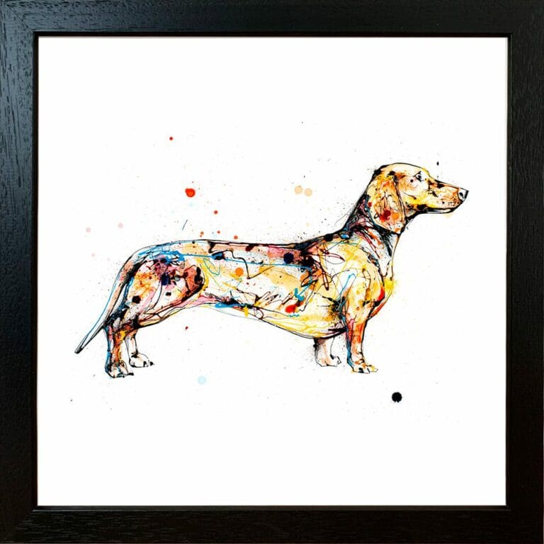 Hopeful Dachsund Paper Giclee Fine Art Print displayed in Black Frame