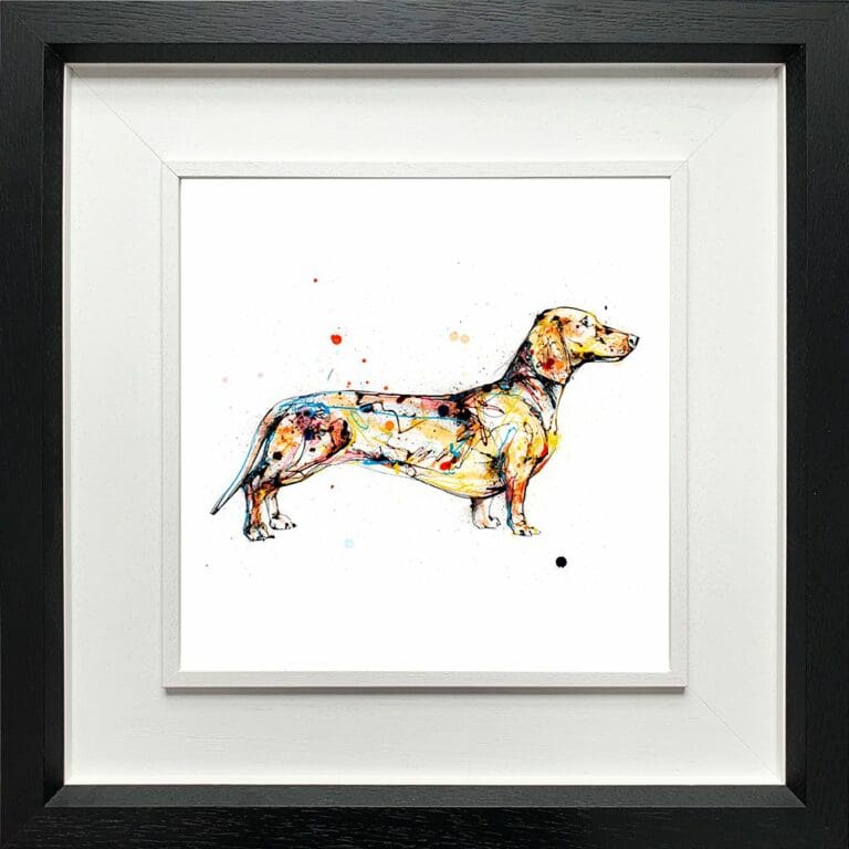 Hopeful Daschund Paper Giclee Fine Art Print shown in Deluxe Black Frame