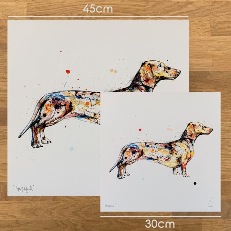 Two prints of Hopeful by Kathryn Callaghan, a print of dachshund facing right, to show the size difference between the 45cm print and the 30cm print.