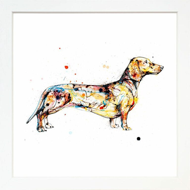 Hopeful Dachsund Paper Giclee Fine Art Print displayed in White Frame