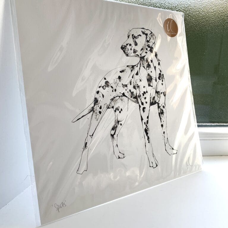 A print of a dalmatian named Spots by Kathryn Callaghan. The 30cm print is presented flat in a clear cello bag with a golden KC sticker in the top right.