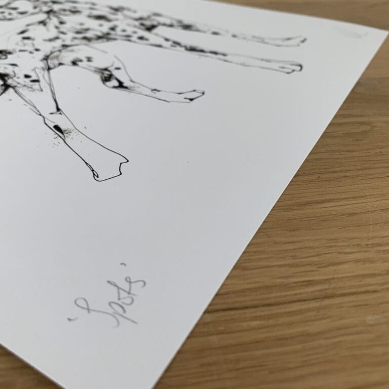 Photograph of Spots by Kathryn Callaghan, a print of a dalmatian, which shows the print's title handwritten in the bottom left corner and the artist's signature in the bottom right, with space between to add a custom personalisation.