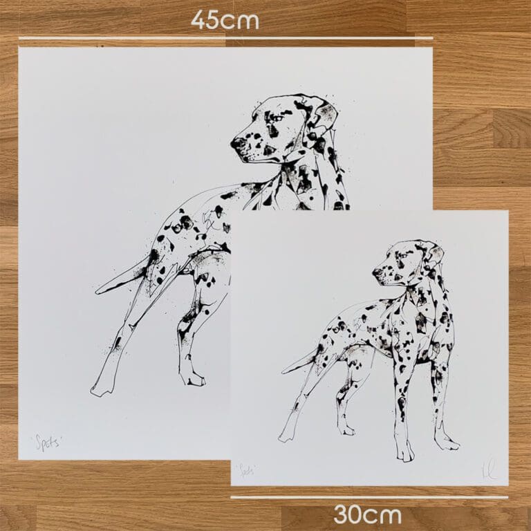 Two prints of Spots by Kathryn Callaghan, a print of a dalmatian, to show the size difference between the 45cm print and the 30cm print.