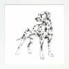 Spots Dalmatian Paper Giclee Fine Art Print Displayed in White Frame