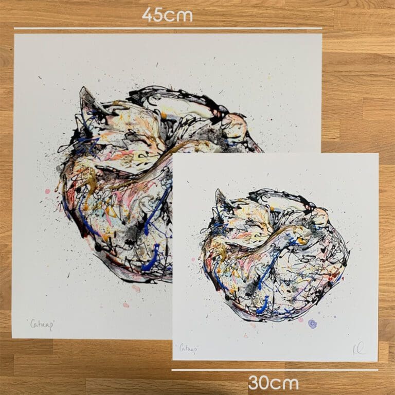 Two prints of Catnap by Kathryn Callaghan, a print of a sleeping cat curled in a bag, to show the size difference between the 45cm print and the 30cm print.