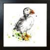 Atlantic puffin Paper Giclee Fine Art Print displayed in Black Frame