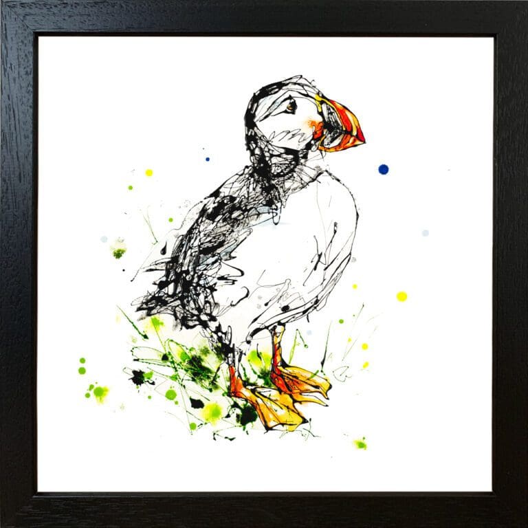 Atlantic puffin Paper Giclee Fine Art Print displayed in Black Frame