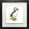 Atlantic puffin Paper Fine Art Giclee Print shown in Deluxe Black Frame