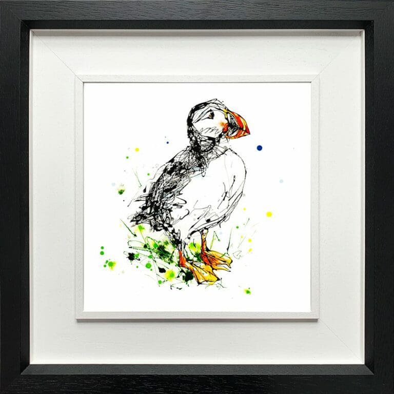 Atlantic puffin Paper Fine Art Giclee Print shown in Deluxe Black Frame