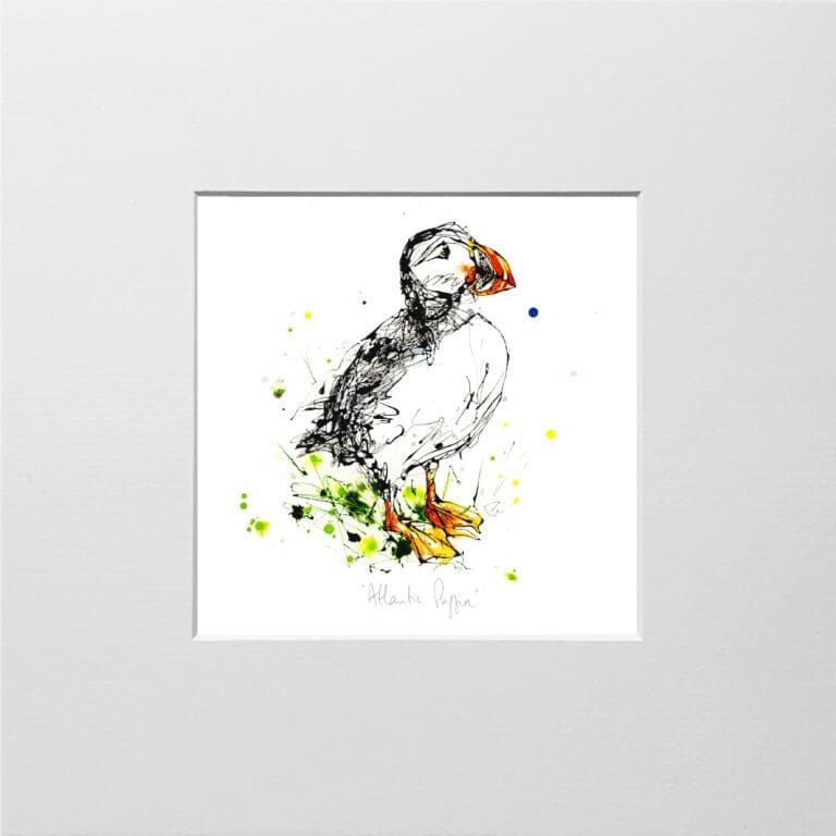 A digital mockup showing how a miniature print of Atlantic Puffin by Kathryn Callaghan will look presented in a 23cm mount.