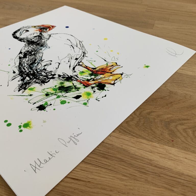 Photograph of Atlantic Puffin by Kathryn Callaghan, which shows the print's title handwritten in the bottom left corner and the artist's signature in the bottom right, with space between to add a custom personalisation.