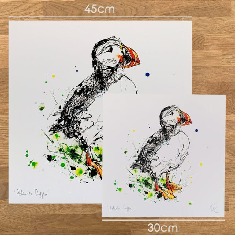 Two prints of Atlantic puffin, a print by Kathryn Callaghan, to show the size difference between the 45cm print and the 30cm print.