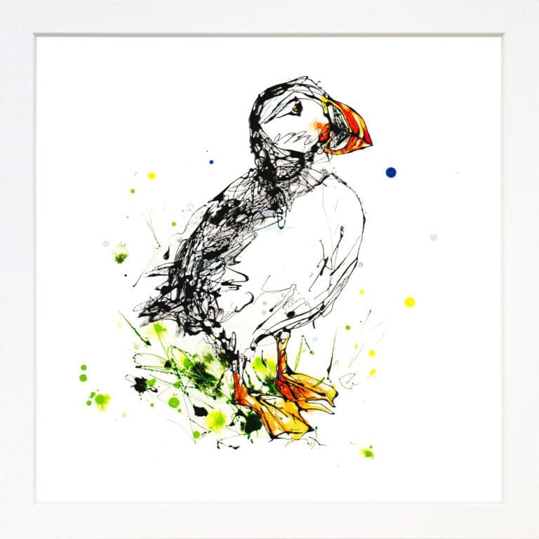 Atlantic puffin Paper Giclee Fine Art Print displayed in White Frame