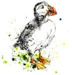 Atlantic puffin Giclee Paper Fine Art Print