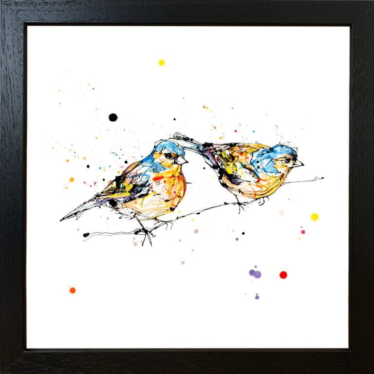 Did You See That Giclee Paper Fine Art Print of Two Chaffinches shown in Black FRame