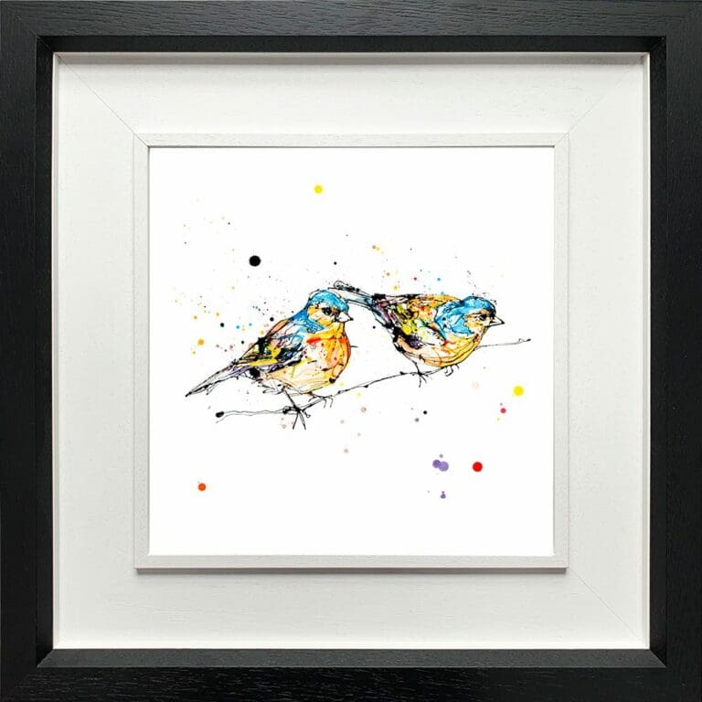 Did You See That Chaffinch Paper Fine Art Print shown in Deluxe Black Frame