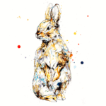 baby bunny rabbit print