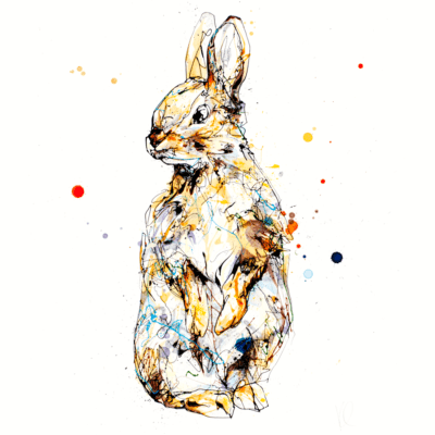 Rabbits