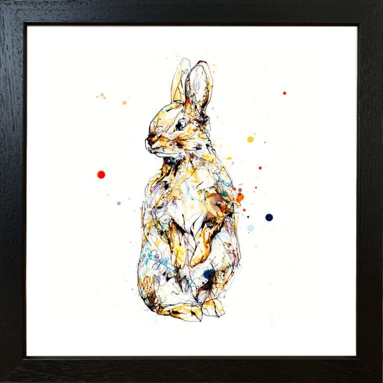 Pumpkin Baby Rabbit Paper Giclee Fine Art Print in Black Frame