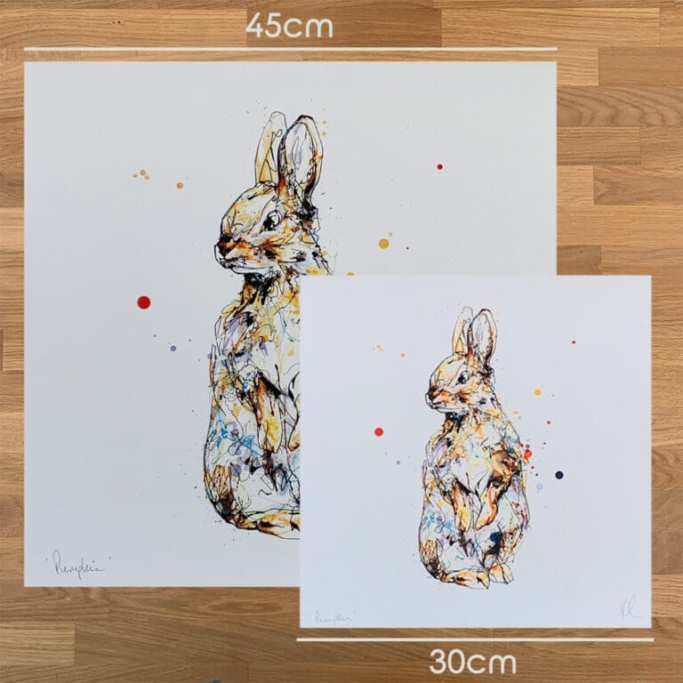 Two prints of Pumpkin by Kathryn Callaghan, to show the size difference between the 45cm print and the 30cm print.