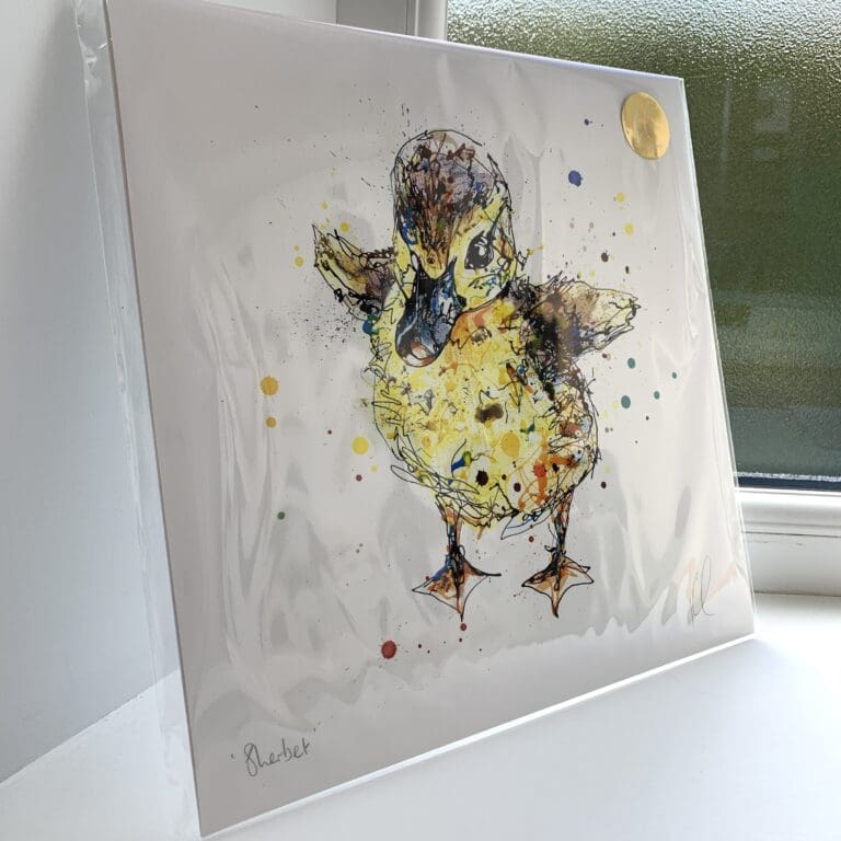 A print of Sherbet by Kathryn Callaghan, which features a duckling. The 30cm print is presented flat in a clear cello bag with a golden KC sticker in the top right.