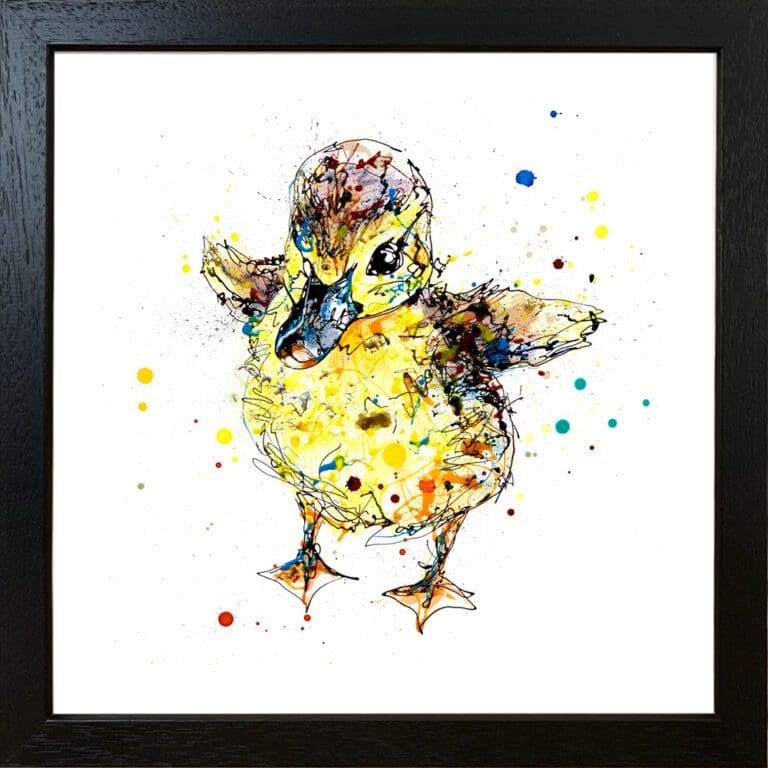 Sherbet Duckling Paper Giclee Fine Art Print in Black Frame