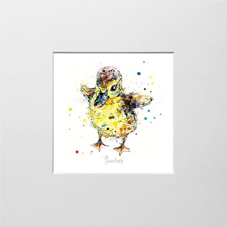 A digital mockup showing how a miniature print of Sherbet by Kathryn Callaghan will look presented in a 23cm mount. Sherbet features a yellow duckling.