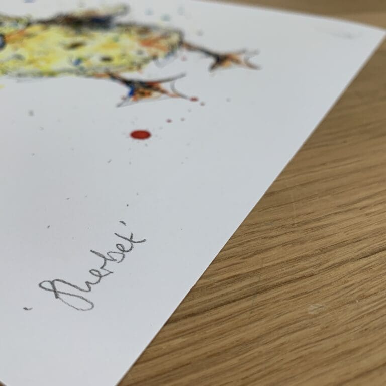 Photograph of Sherbet, a print of a duckling by Kathryn Callaghan, which shows the print's title handwritten in the bottom left corner and the artist's signature in the bottom right, with space between to add a custom personalisation.