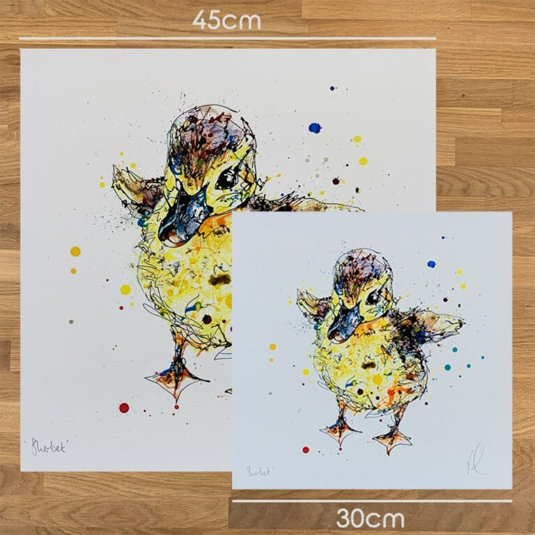 Two prints of Sherbet by Kathryn Callaghan, to show the size difference between the 45cm print and the 30cm print.