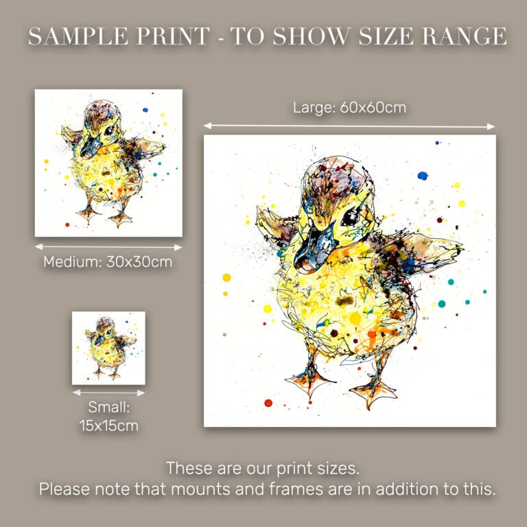 Sherbet - Duckling Print - Image 10
