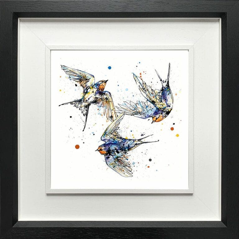 Affinity Swallows Three Family Paper Giclee Fine Art Print in Deluxe Black Frame