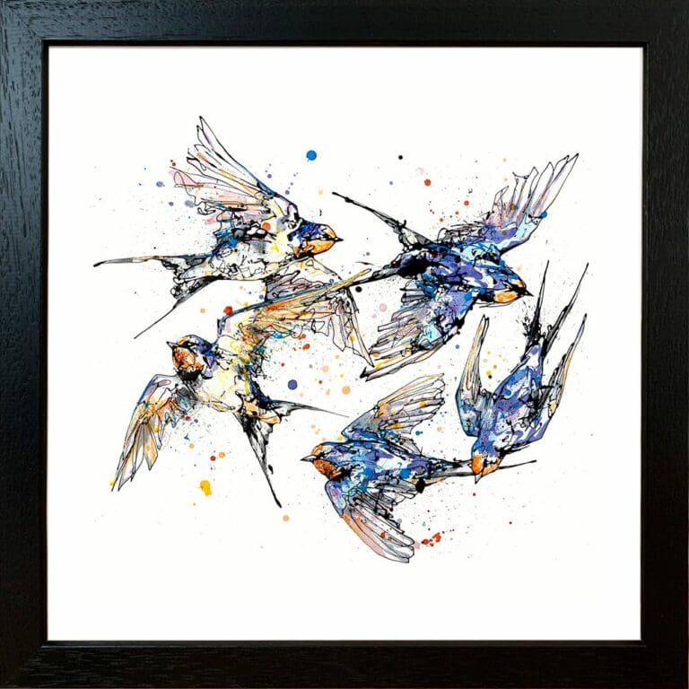 Closeness Swallows Family Five Birds Flock Family Together Fine Art Print Giclee Paper Swallows in Black Frame