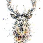 limited edition stag print