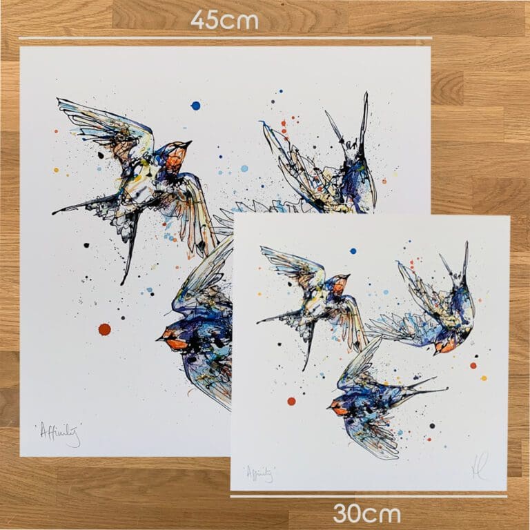 Two prints of Affinity, a swallow print by Kathryn Callaghan, to show the size difference between the 45cm print and the 30cm print.