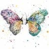 butterflies print