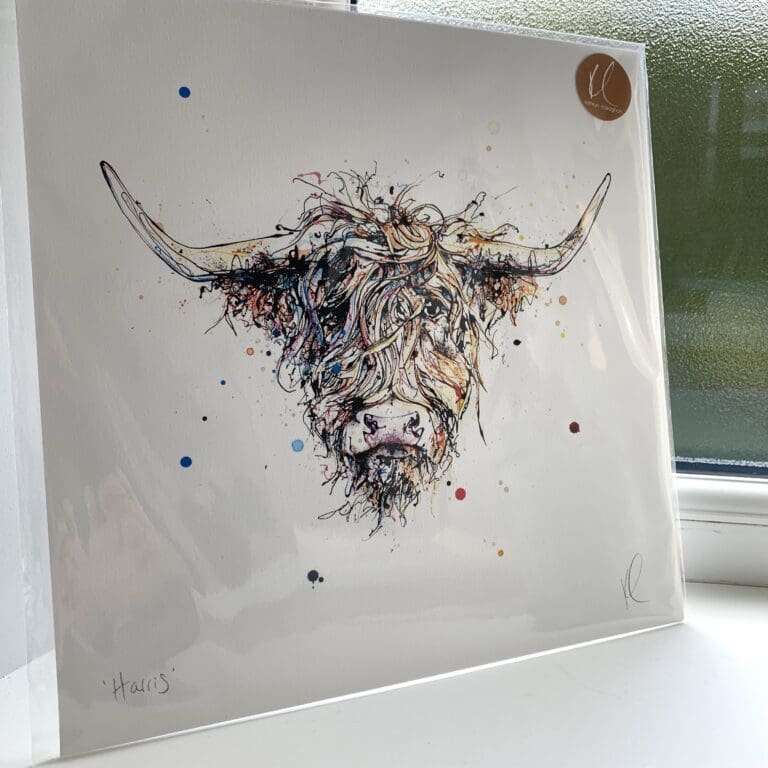 A print of Harris by Kathryn Callaghan, which features a shaggy Highland Coo. The 30cm print is presented flat in a clear cello bag with a golden KC sticker in the top right.