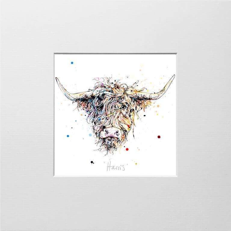 A digital mockup showing how a miniature print of Harris by Kathryn Callaghan will look presented in a 23cm mount. Harris features a shaggy Highland Coo's head.