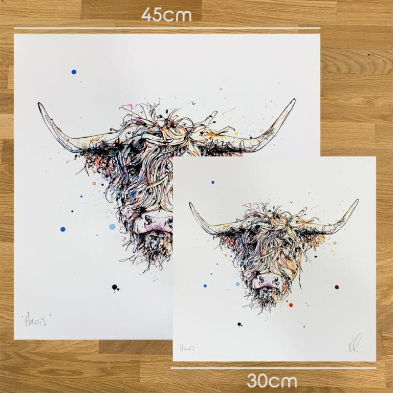 Two prints of Harris by Kathryn Callaghan, to show the size difference between the 45cm print and the 30cm print.