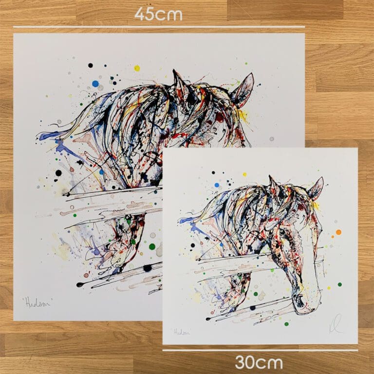 Two prints of Hudson by Kathryn Callaghan, to show the size difference between the 45cm print and the 30cm print.