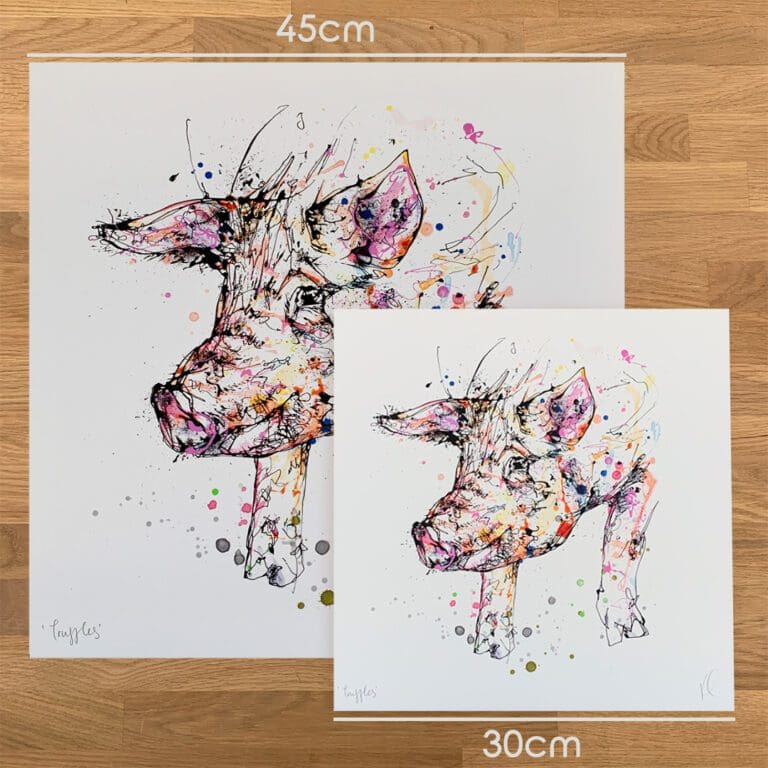 Two prints of Truffles, a pig print by Kathryn Callaghan, to show the size difference between the 45cm print and the 30cm print.