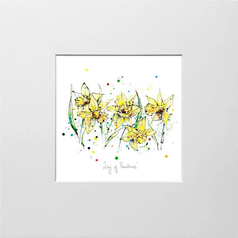 A digital mockup showing how a miniature print of Ray of Sunshine by Kathryn Callaghan will look presented in a 23cm mount. Ray of Sunshine features a spray of five yellow daffodils.