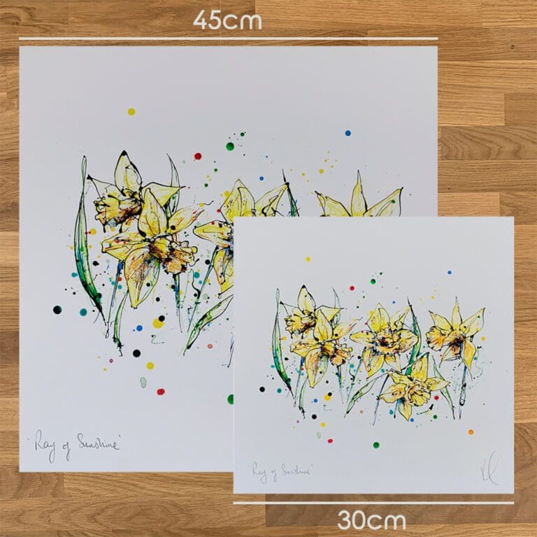 Two prints of Ray of Sunshine by Kathryn Callaghan, to show the size difference between the 45cm print and the 30cm print.