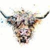 Angus highland cow art print