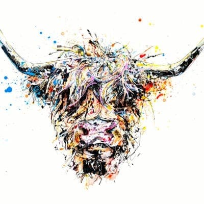 Angus highland cow art print